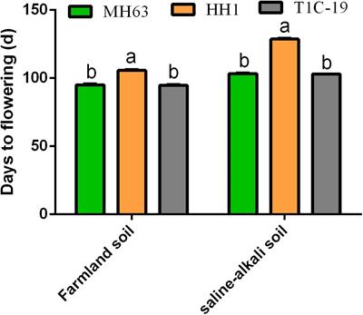 Foreign Cry1Ab/c Delays Flowering in Insect-Resistant Transgenic Rice via Interaction With Hd3a Florigen